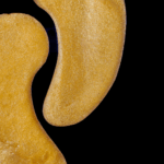 Helios Rest Eye Patches