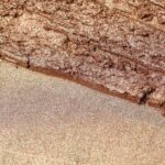 Geopearl C Coffee
